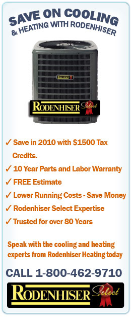 Special Offer